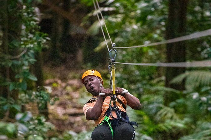 Rainforest Rush: St. Lucia Zip Line Adventure - The Sum Up