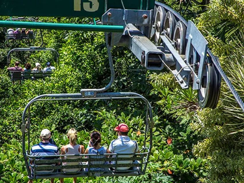 Rainforest Sky Explorer Mystic Mountain Tour Fr Montego Bay - Key Points