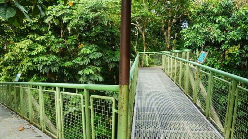 Rainforest Tour, Labuk Bay, Sun Bear & Sepilok | Sandakan - Final Thoughts