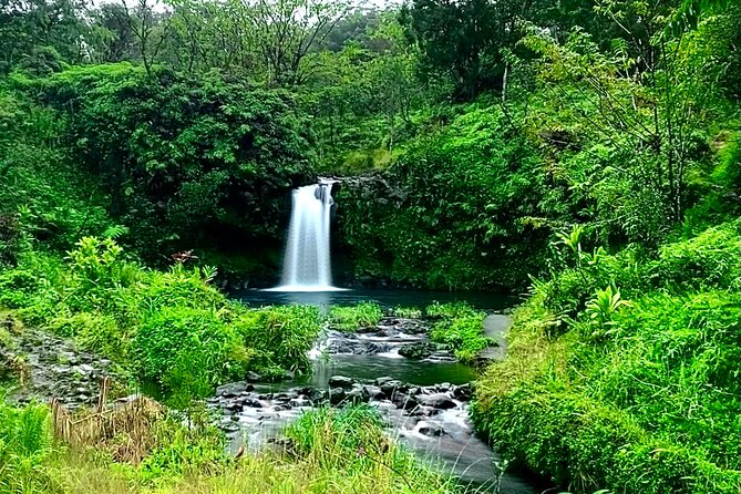 Rainforest Tour to Hana and Beyond - Meeting and Pickup Details