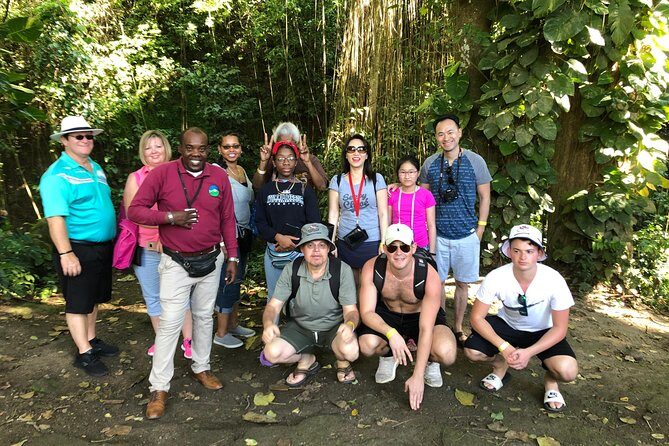 Rainforest Tours in St. Kitts - The Sum Up