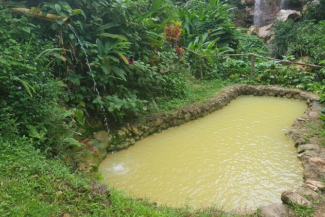 Rainforest Waterfall Adventure - Whats the Value?