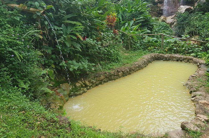 Rainforest Waterfall Adventure - Practical Considerations