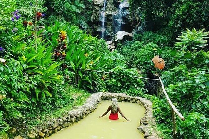 Rainforest Waterfall Adventure - Summary