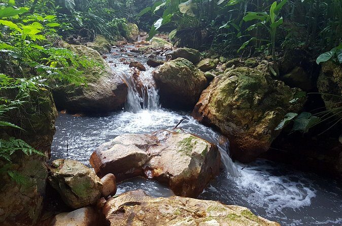 Rainforest Waterfall Adventure - FAQ