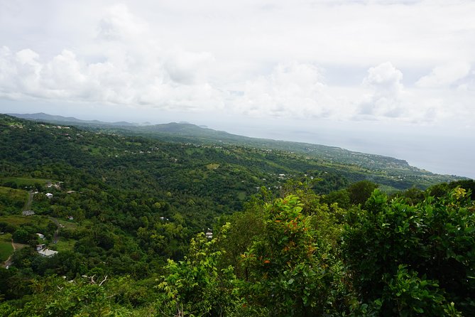 Rainforest Waterfall Adventure - Reviews and Cancellation Policy
