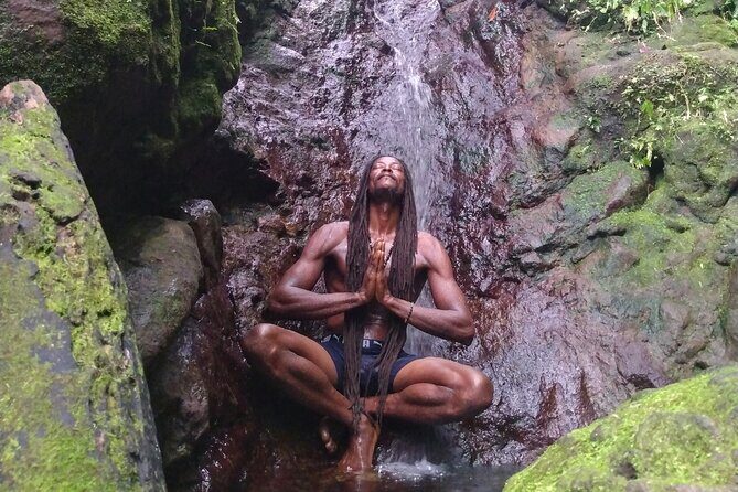 Rainforest Waterfall Hike with Rastafarian Nature Guide - Key Points