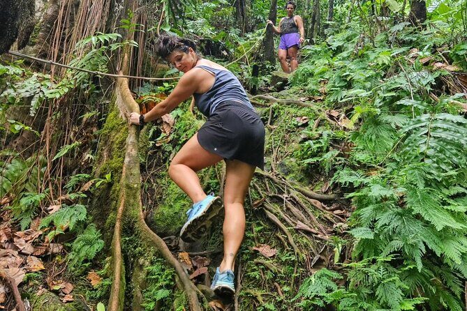 Rainforest Waterfall Hike with Rastafarian Nature Guide - Analyzing the Value for Travelers