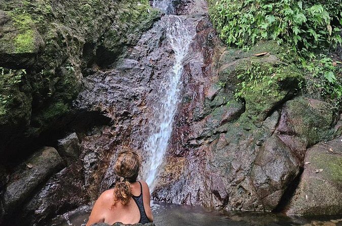 Rainforest Waterfall Hike with Rastafarian Nature Guide - Final Thoughts: Is This the Right Tour for You?