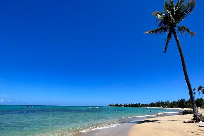 Rainforest Waterfall Slides/Adult Drinks included/ Beach - Introduction