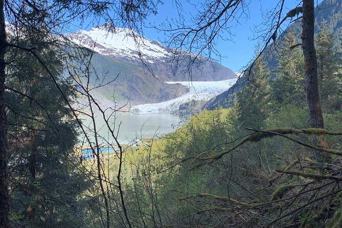 Rainforest & Waterfalls Trek - Trek Overview