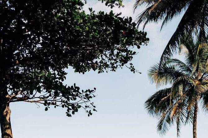 Rainforest Waterslide and Riverpool Beach Tour in Puerto Rico - The Experience: What We Think Travelers Will Love