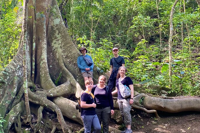 Rainforest Wildlife, Panama Hat Makers, Traditional Cuisine. SHORE TOUR - Good To Know