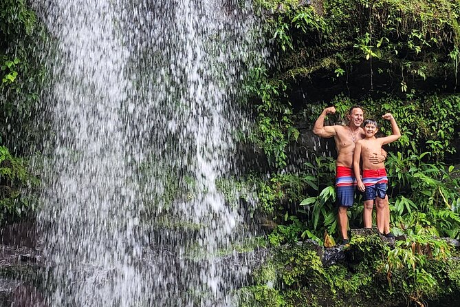 Rainforest Wonders Private Full Day Experience From San Juan - Key Points