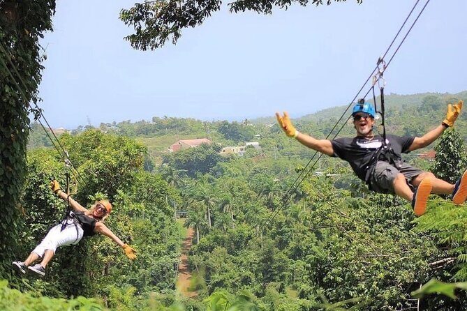 Rainforest Zipline in Foothills of the National Rainforest - A Closer Look at the Experience