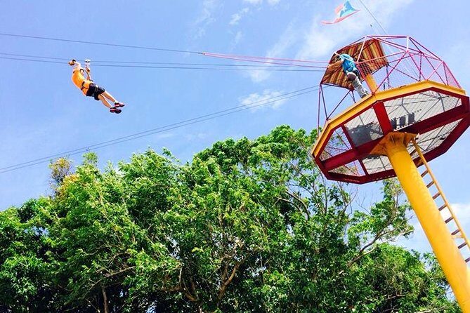 Rainforest Zipline in Foothills of the National Rainforest - Who Will Love This Tour?