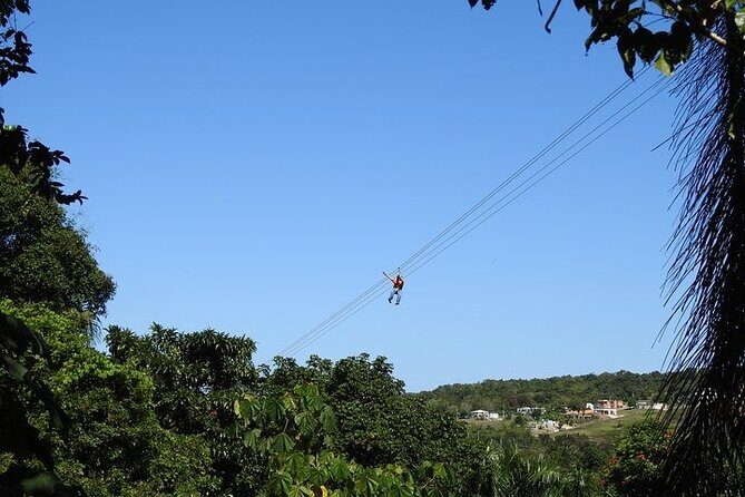 Rainforest Zipline in Foothills of the National Rainforest - Practical Tips for Your Zipline Adventure