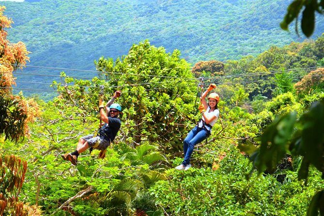 Rainforest Zipline in Foothills of the National Rainforest - Final Thoughts