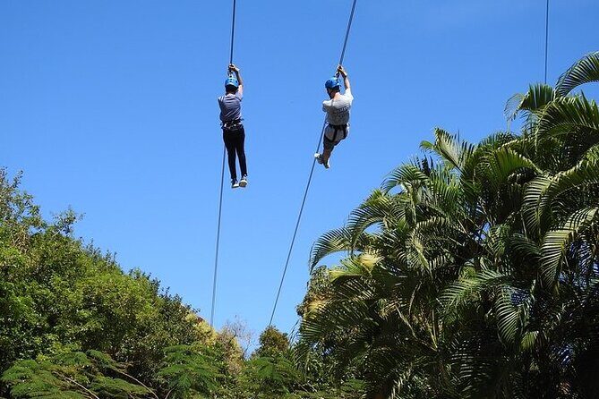 Rainforest Zipline in Foothills of the National Rainforest - References