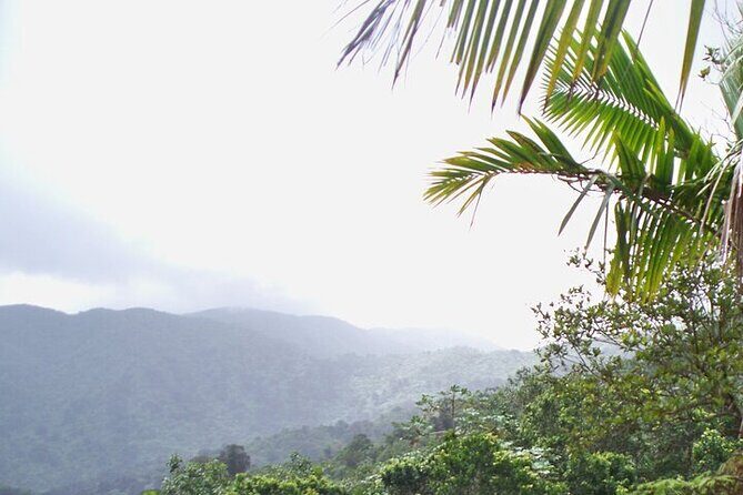 Rainforest Zipline, Luquillo Beach, and Natural Springs Day Trip - Who Might Want to Think Twice