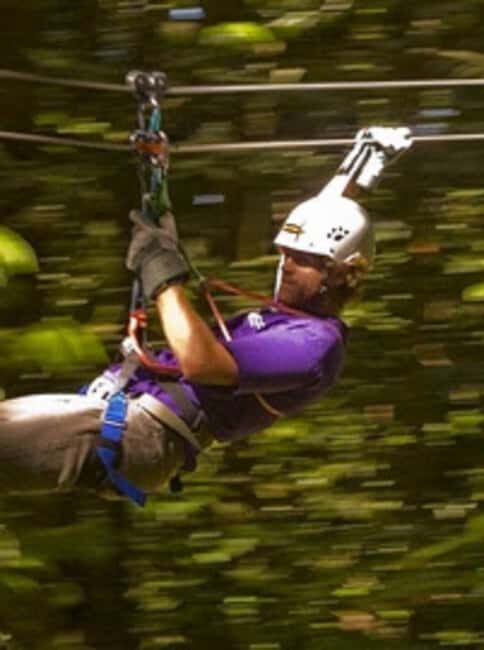 Rainforest Zipline Mystic Mountain trip - The Itinerary in Detail
