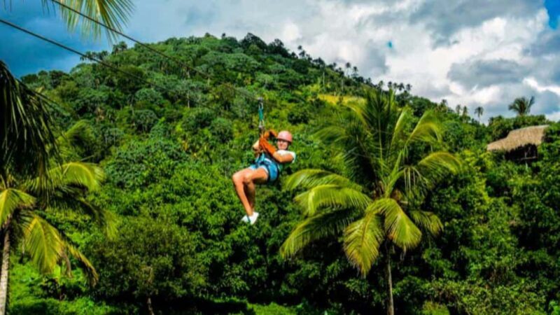 Rainforest Ziplining Adventure - Authentic Reviews from Participants