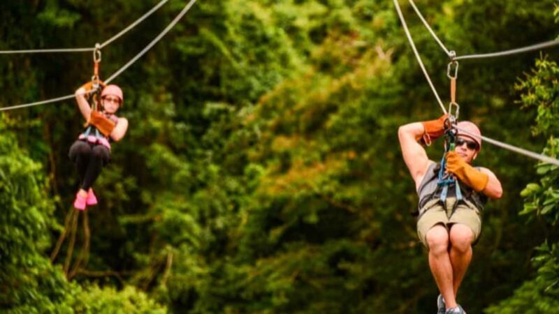 Rainforest Ziplining Adventure - How It Fits Into a Punta Cana Trip