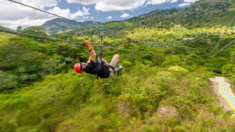 Rainforest Ziplining Adventure - The Sum Up