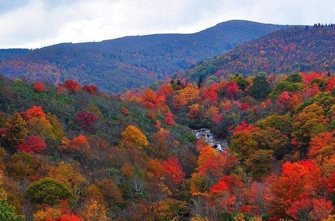 Rainforests and Waterfalls of Western NC - Cliffside Lake: Serenity in the Forest