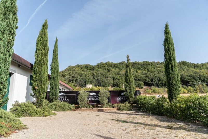Raise a Glass: Exclusive Wine Experiences Near Orvieto - Exploring Orvietos Rich Winemaking Heritage