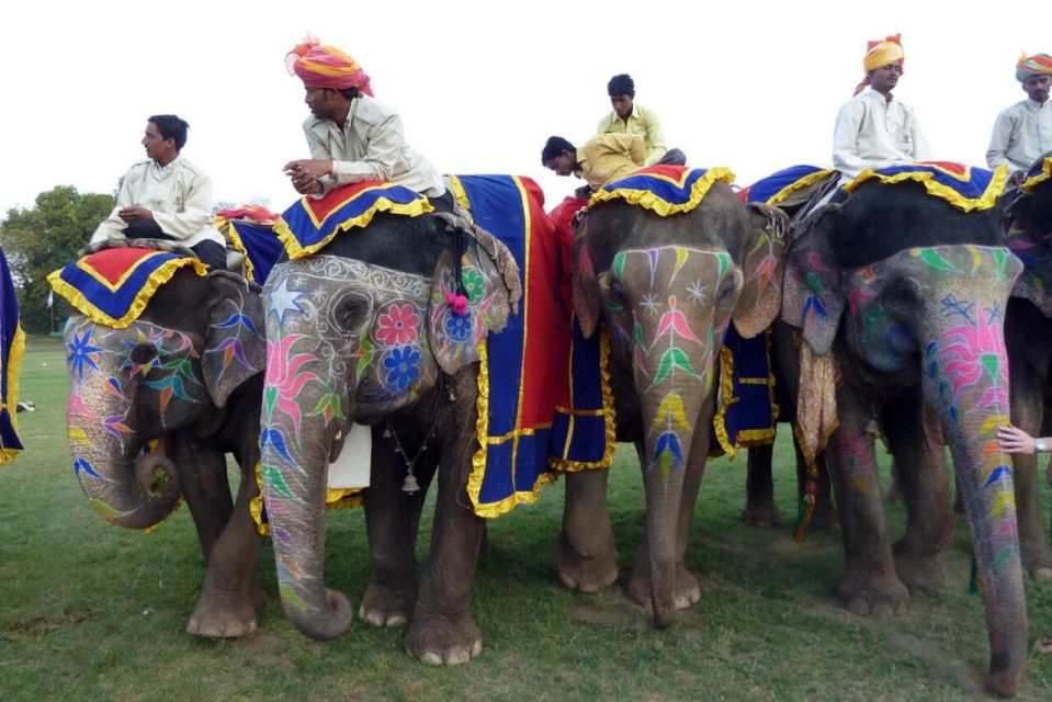 Rajasthan Jodhpur Bishnoi Village Safari With Authentic Food - Unique Cultural Experiences