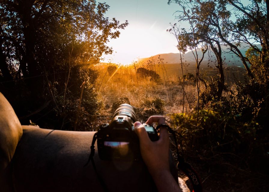 Rajasthan: Ranthambore National Park Private Jeep Safari - Key Points