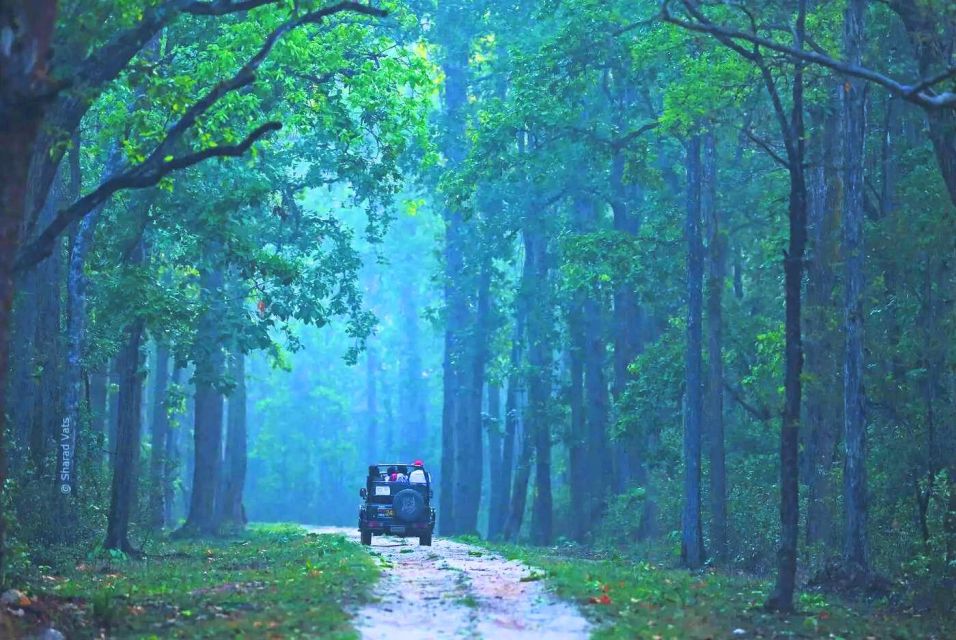 Rajasthan: Ranthambore National Park Private Jeep Safari - Scenic Landscapes and Biodiversity