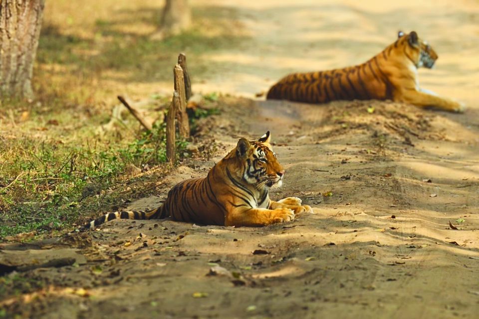 Rajasthan: Ranthambore National Park Private Jeep Safari - Booking Details and Payment Options