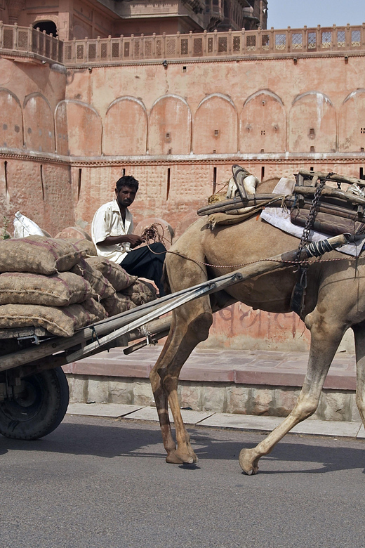 Rajasthani Romance_15 Days - Itinerary Highlights