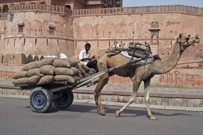 Rajasthani Romance_15 Days - Discover Delhis Fusion