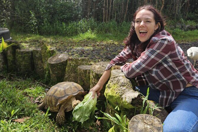 Ranch Tour & Animal Encounters - A Detailed Look at the Ola Nani Ranch Tour