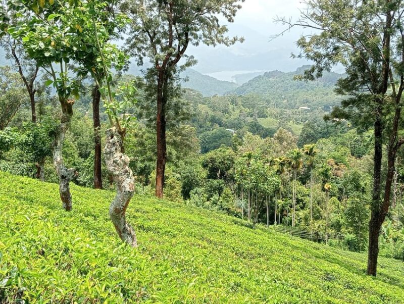 Rangala: Hiking, Camping, and Waterfall Adventure - Itinerary and Highlights