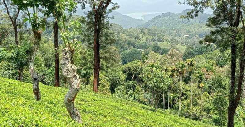Rangala: Hiking, Camping, and Waterfall Adventure - Natural Features and Scenic Beauty