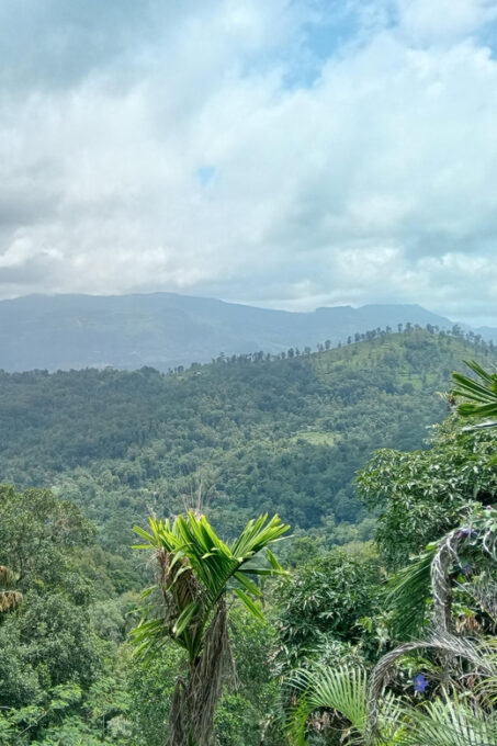 Rangala: Hiking, Camping, and Waterfall Adventure - Booking and Logistics