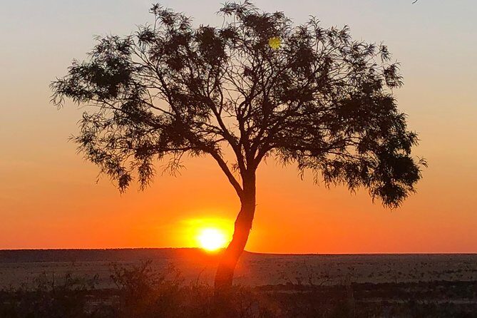 Rangelands Rifts and Sunset Tour Winton - The Sum Up: Why You’ll Love This Outback Sunset Tour
