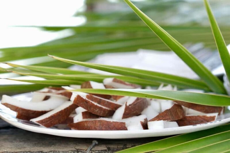 Rangiroa: Blue Lagoon Tiputa Pass Coral Garden Island Birds - Key Points