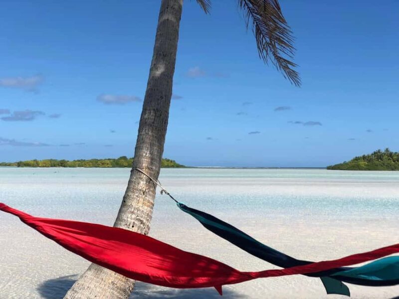 Rangiroa: Blue Lagoon Tiputa Pass Coral Garden Island Birds - What to Expect from the Rangiroa Blue Lagoon Tour