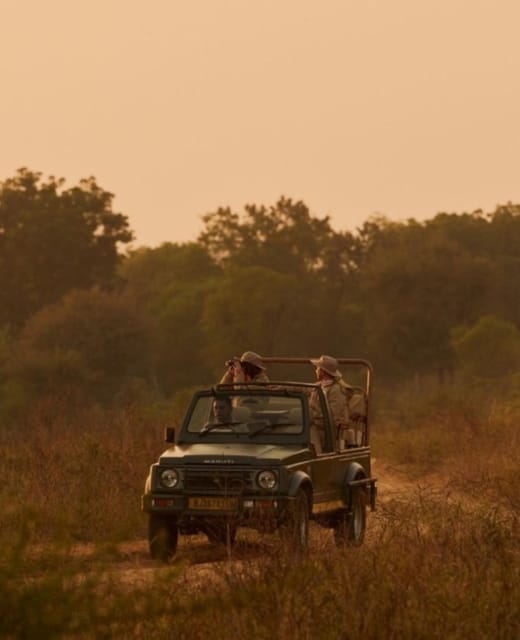 Ranthambhore: Ranthambhore Tiger Reserve Booking - Key Points
