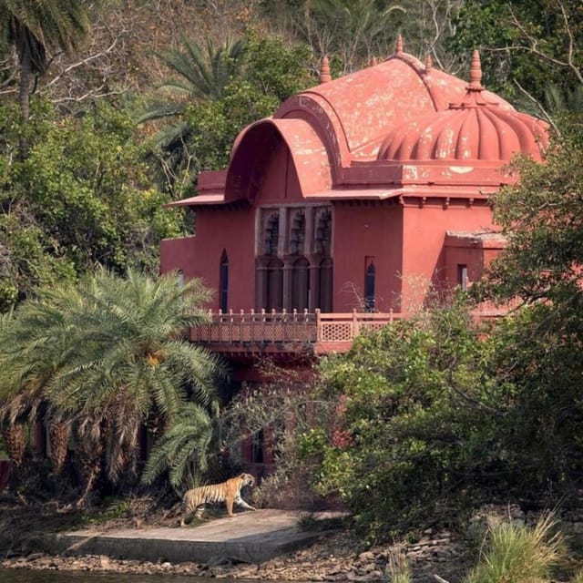 Ranthambhore: Ranthambhore Tiger Reserve Booking - Exploring Ranthambore: What You Can Expect