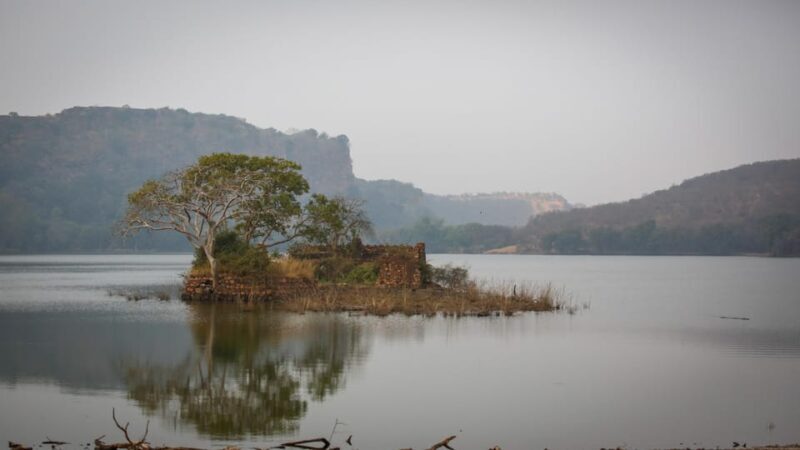 Ranthambore: Shared Tiger Safari in Canter or Gypsy - The Experience of the Journey