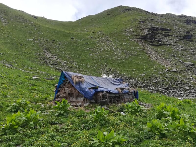 Ranthan Kharak Trek: 7-Day Guided Adventure From Kathgodam - Panoramic Mountain Views