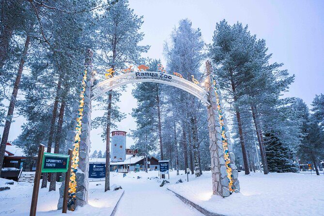 Ranua Wildlife Park Photography Tour - What the Itinerary Looks Like