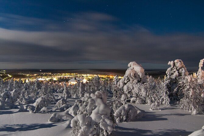 Ranua Zoo- Guided day tour from Rovaniemi - Introduction to the Tour Experience