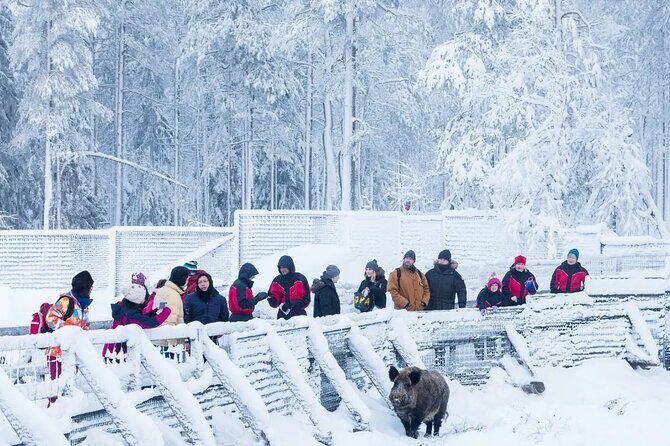 Ranua Zoo Tour (private service) - Value and Cost Considerations